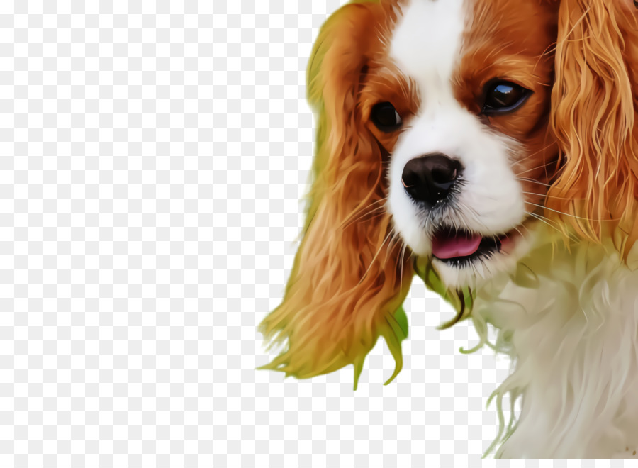 Cachorro，Filhote De Cachorro PNG