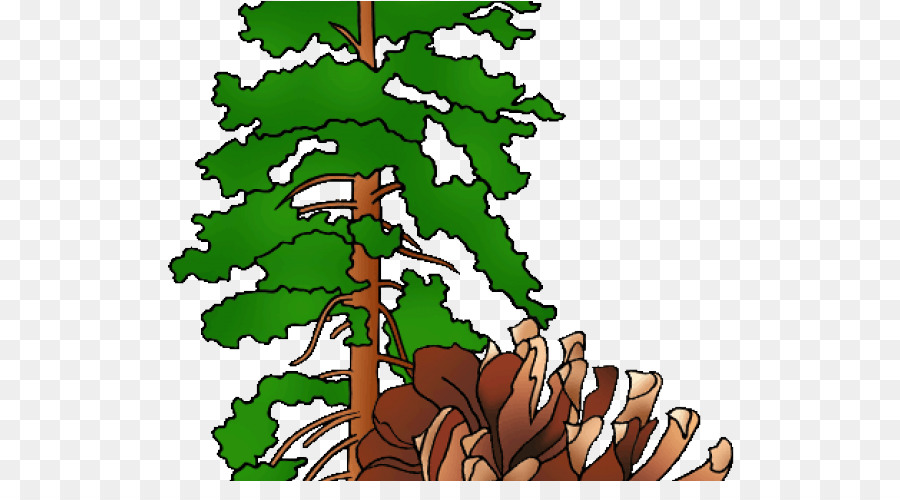 Pine，Montana PNG