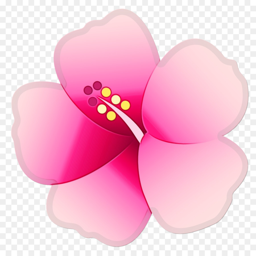 Flor，Florescer PNG