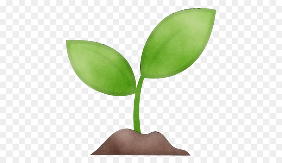 Planta De Segurar As Mãos，Crescimento PNG