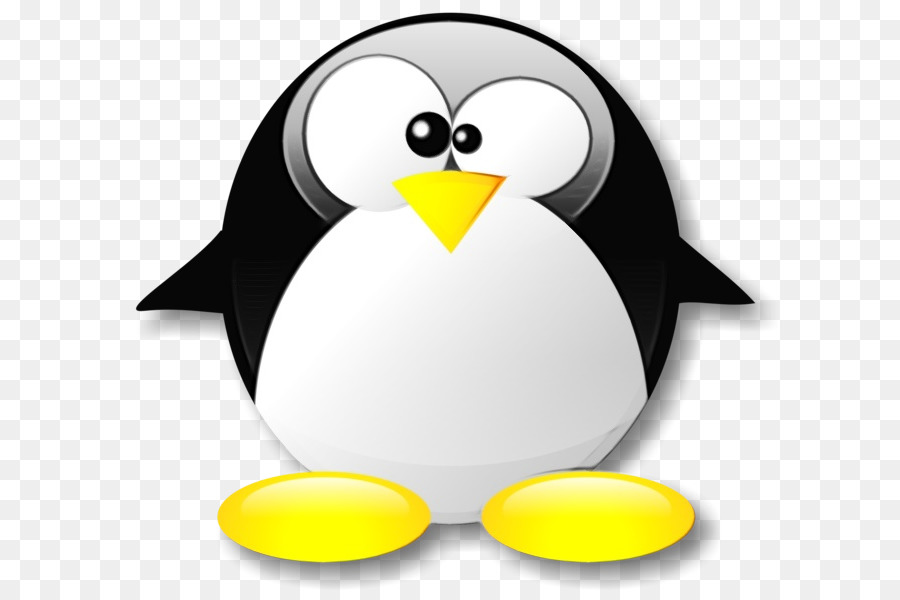 Pinguim，Pássaro PNG