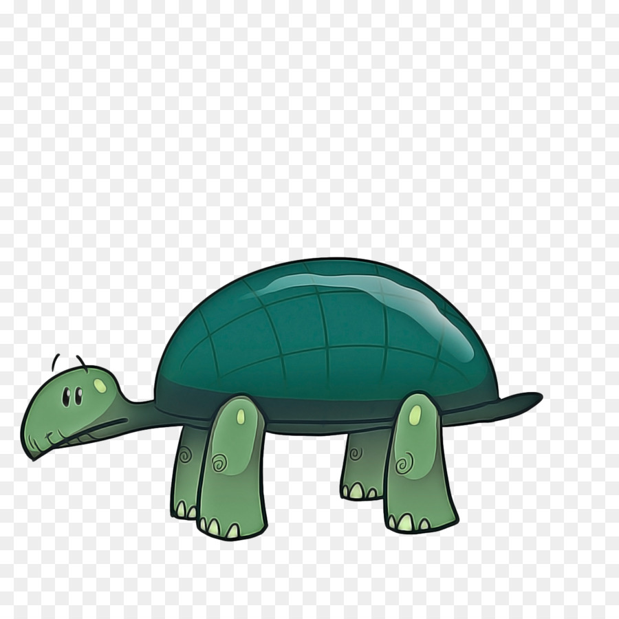 Tartaruga，Turtle PNG