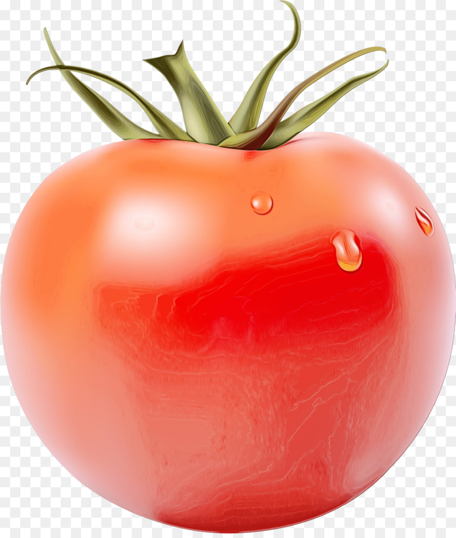 Tomate，Vegetal PNG