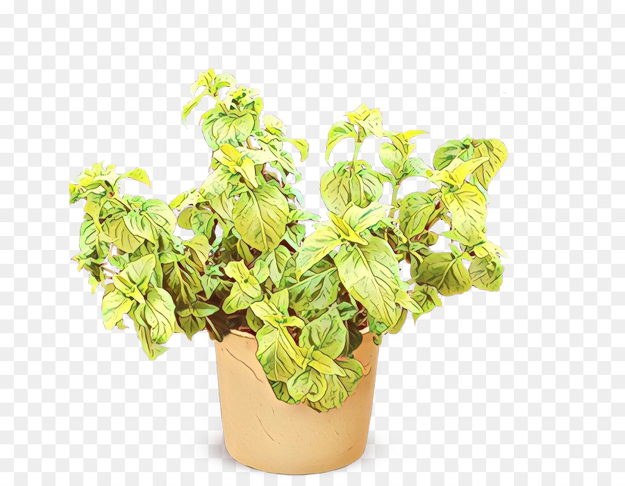 Manjericão，Flowerpot PNG