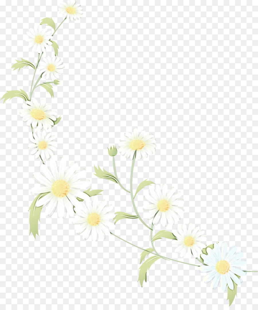 Margarida Flores，Natureza PNG