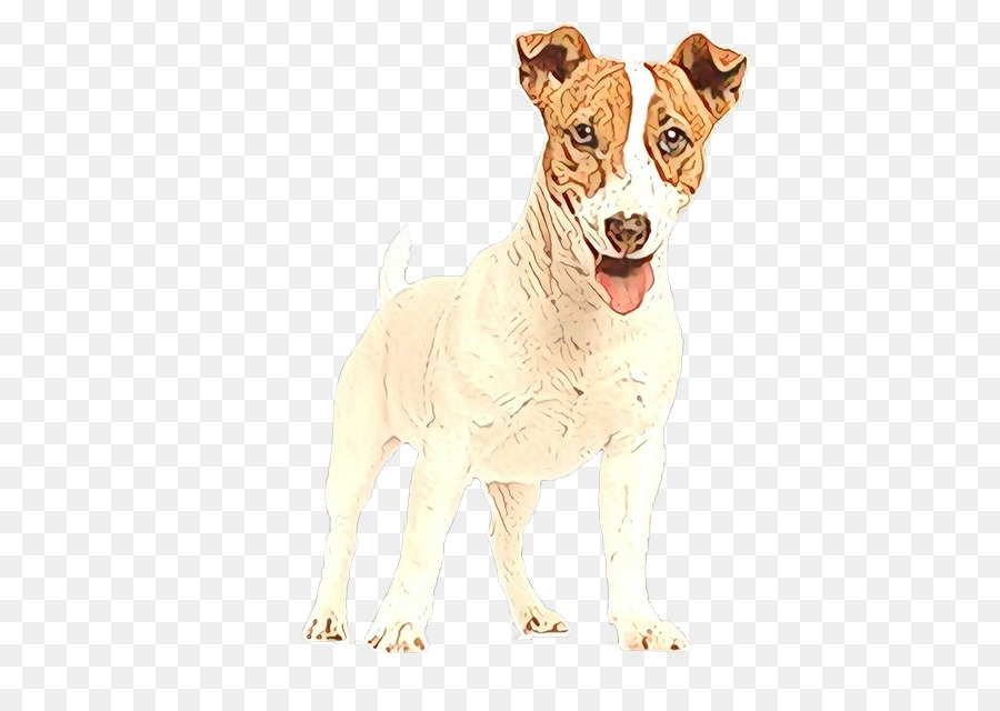 Raça Do Cão，Cachorro PNG