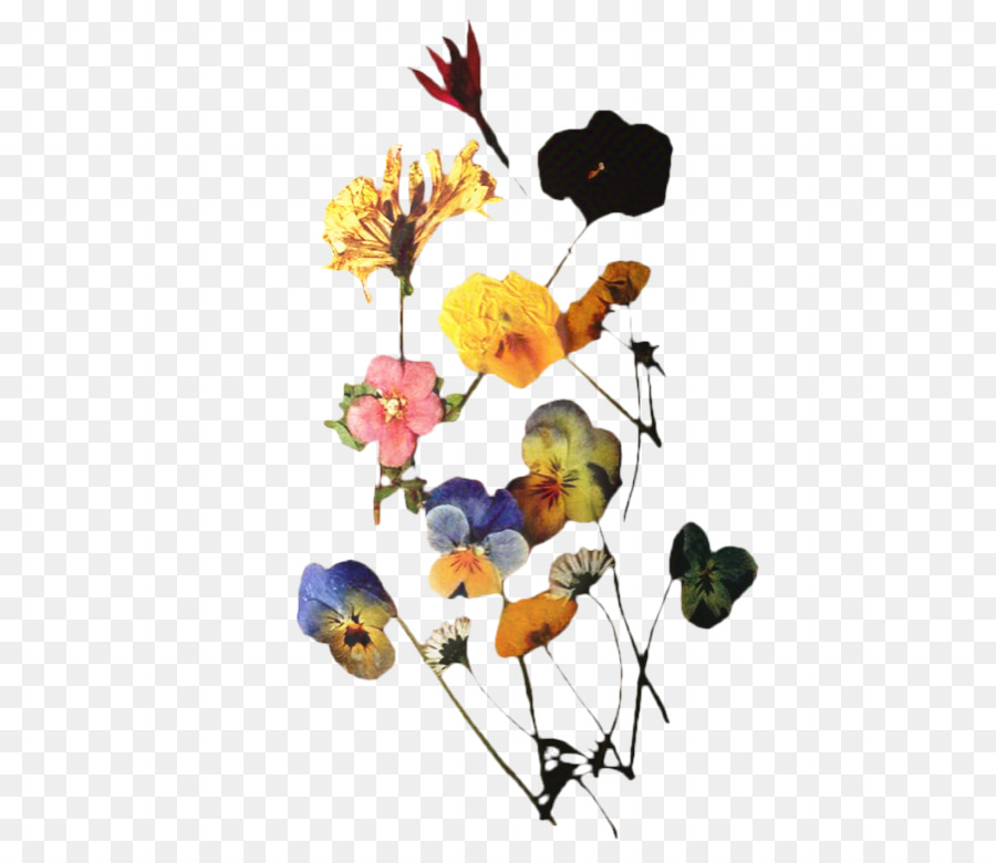 Design Floral，Flor PNG