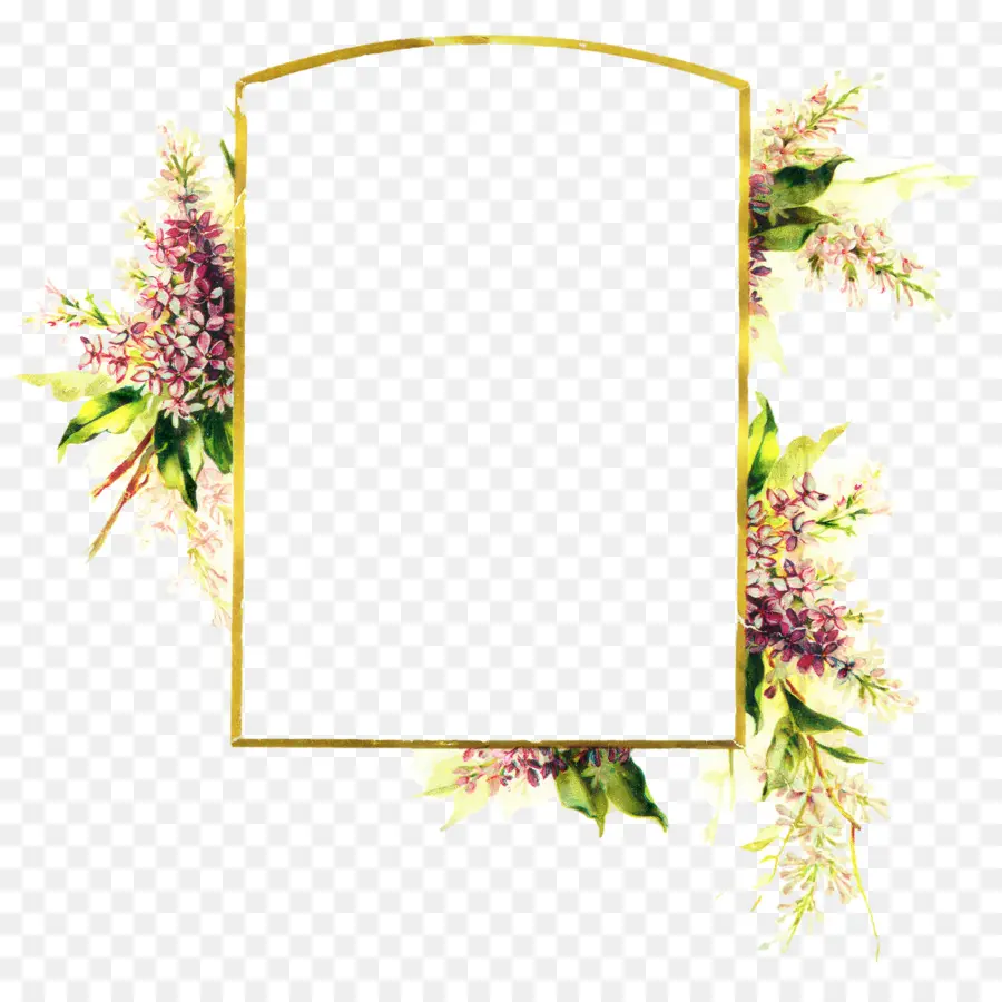 Design Floral，Molduras PNG