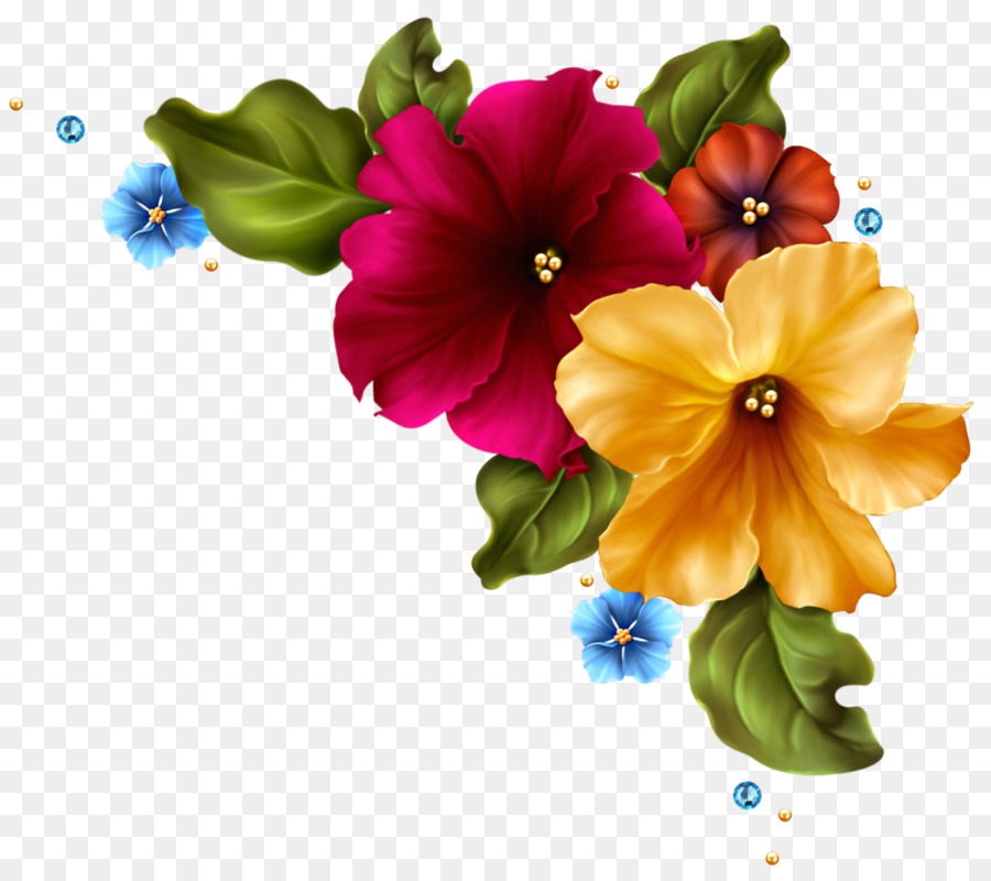 Flores Roxas，Florescer PNG