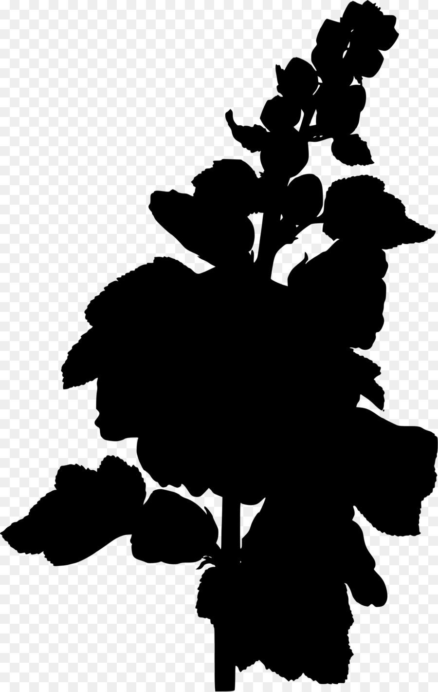 Hollyhock，Plantas PNG