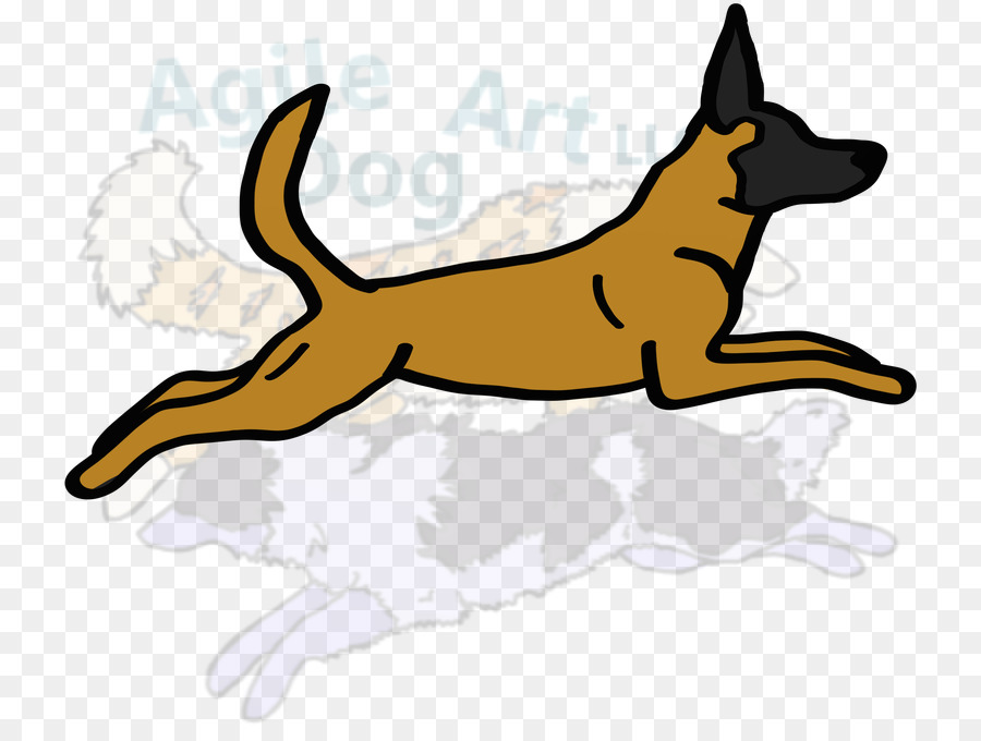 Malinois Cão，Raça Do Cão PNG