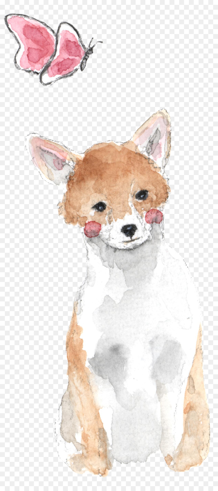 Chihuahua，Filhote De Cachorro PNG