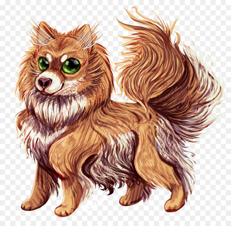 Raça Do Cão，Pomeranian PNG