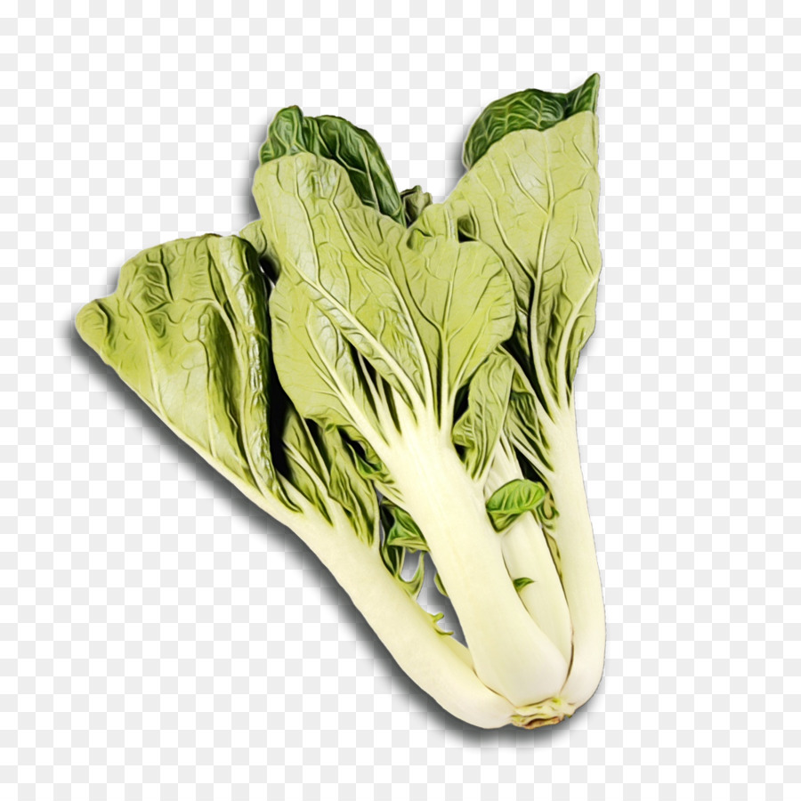 Vegetal De Folhas Verdes，Folha PNG