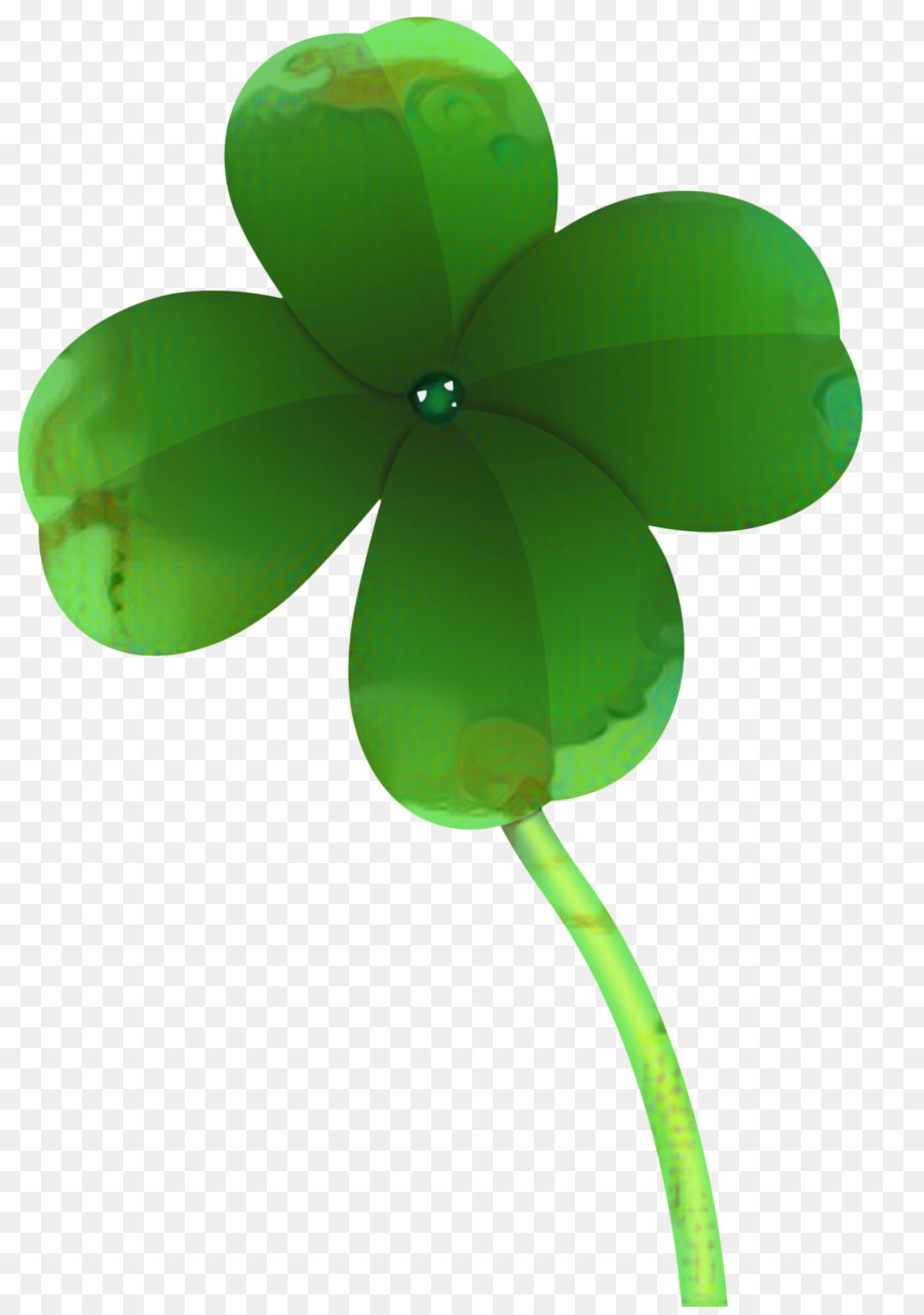 Fourleaf Trevo，Trevo PNG