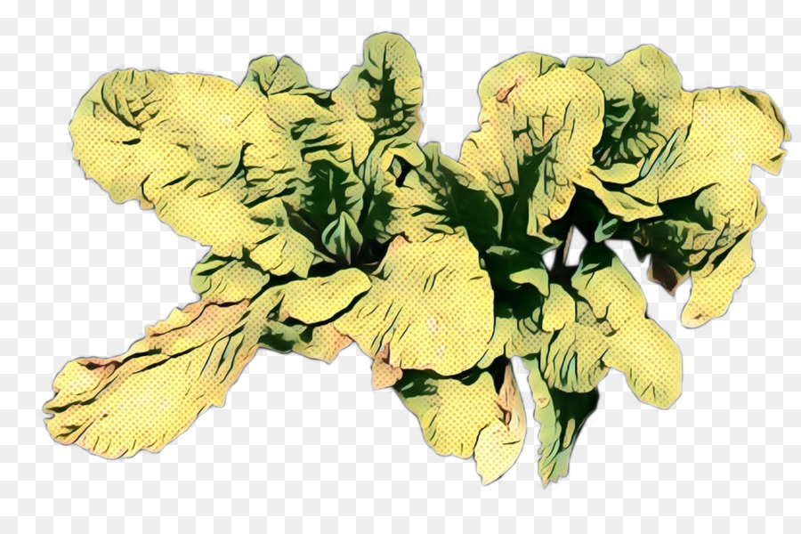 Amarelo，Design Floral PNG