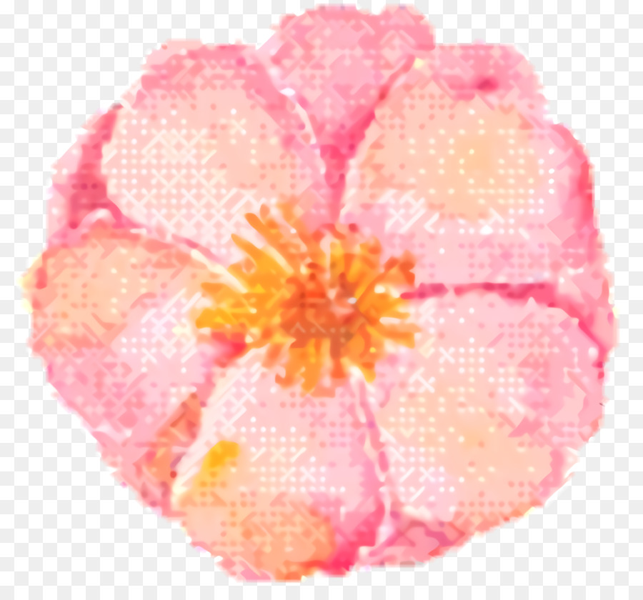 Rosa M， PNG