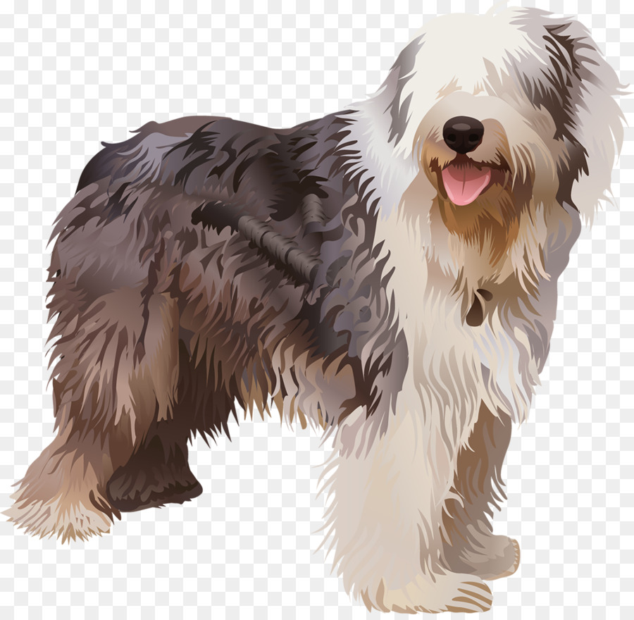 Bearded Collie，Old English Sheepdog PNG