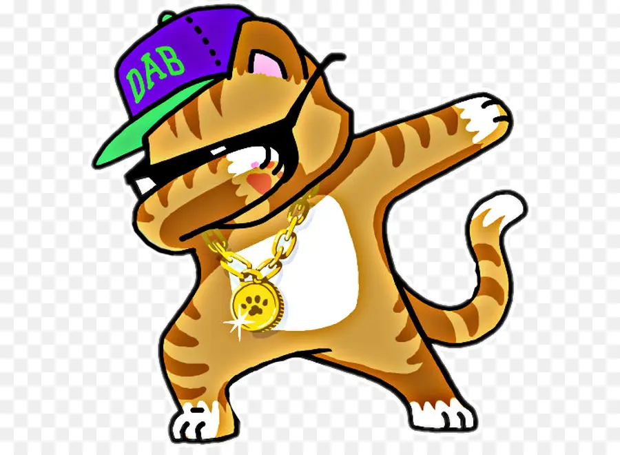 Tshirt，Gato PNG