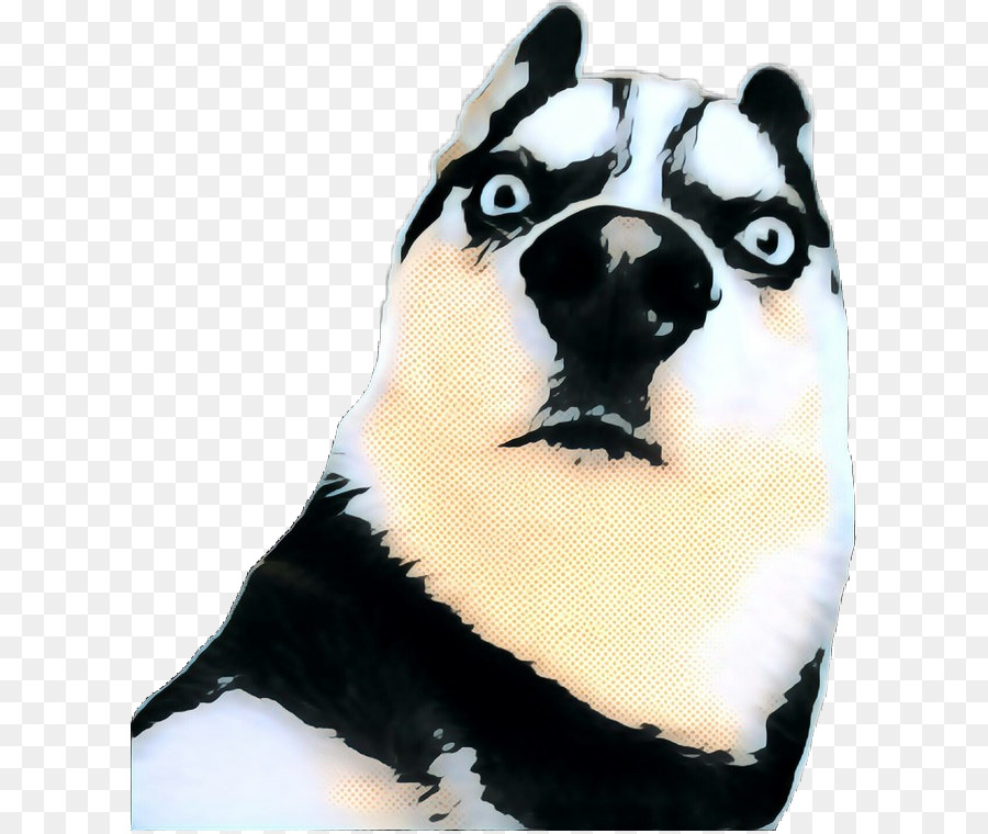 Husky Siberiano，Filhote De Cachorro PNG