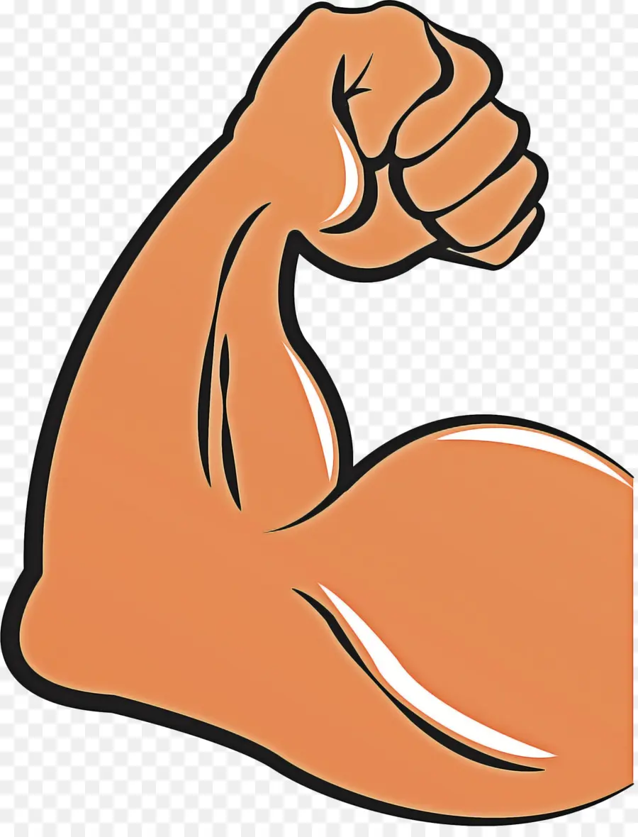Muscular，Bíceps PNG