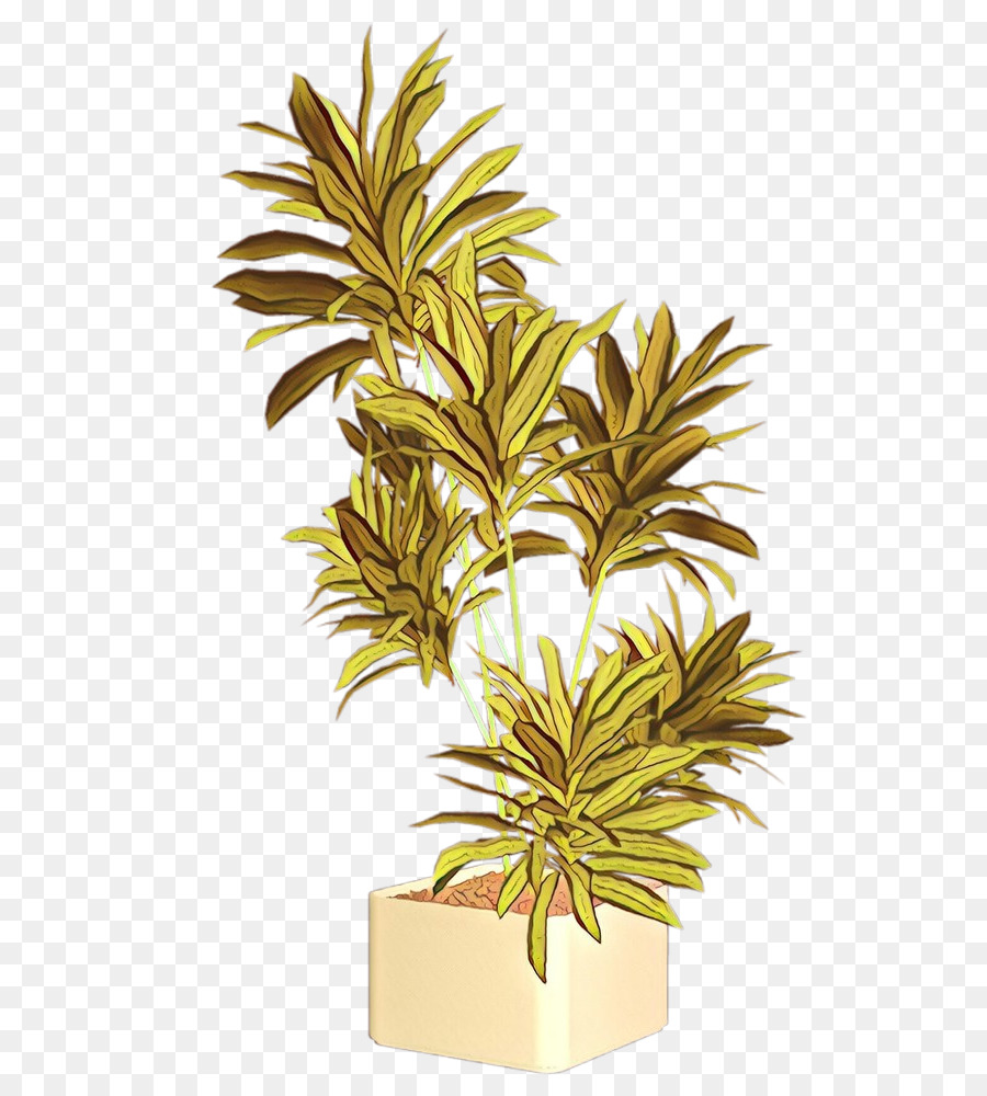 Planta Em Vaso，Interior PNG