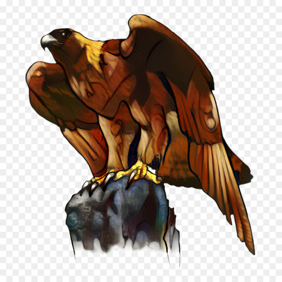 águia Careca，águia De Ouro PNG
