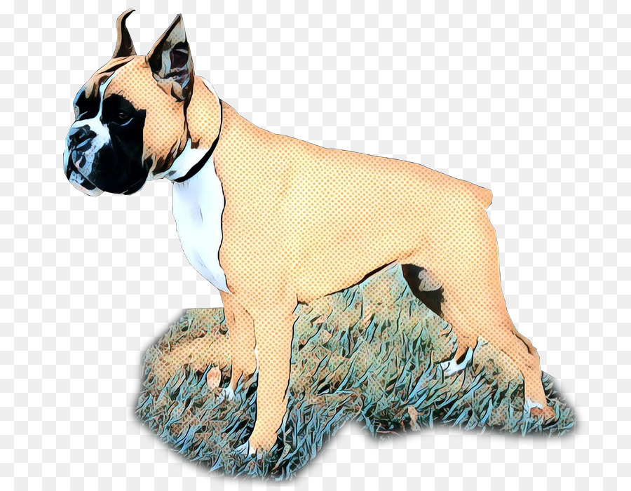 Boxer，Brinquedo Bulldog PNG