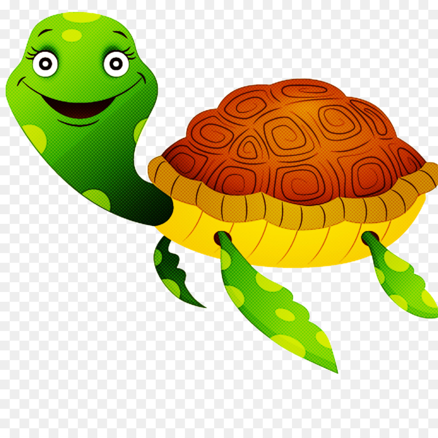 Tartaruga E Caracol De Desenho Animado，Animal PNG