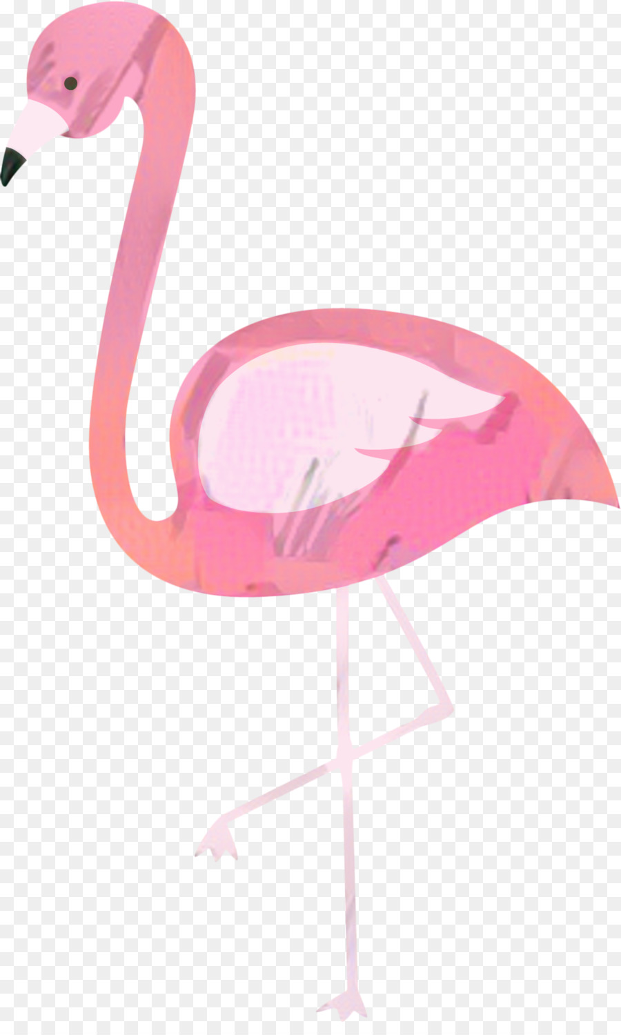 Flamingo Rosa，Pássaro PNG