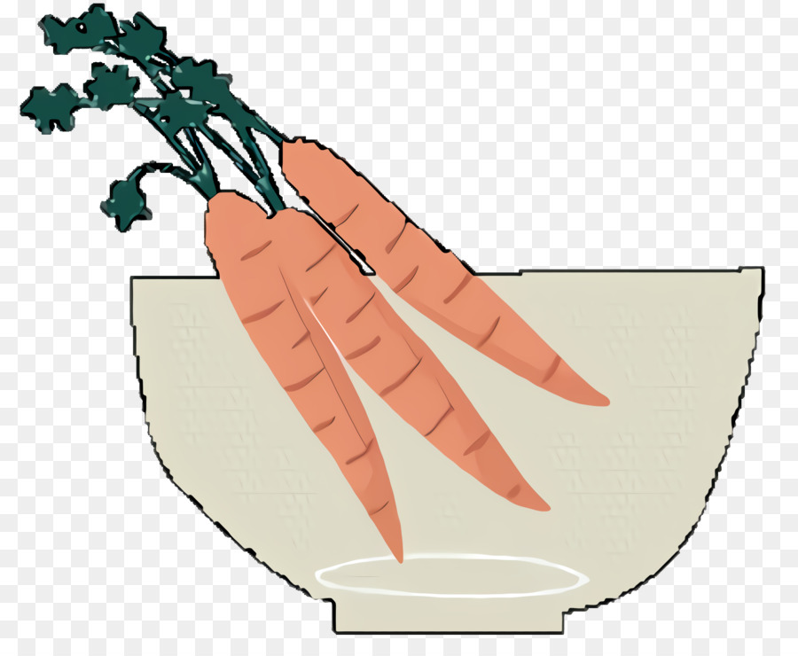 Daikon，Verdes PNG