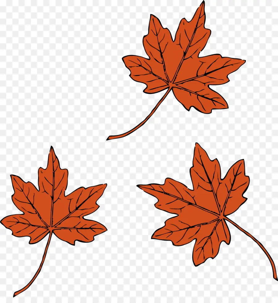 Maple Leaf，Desenho PNG