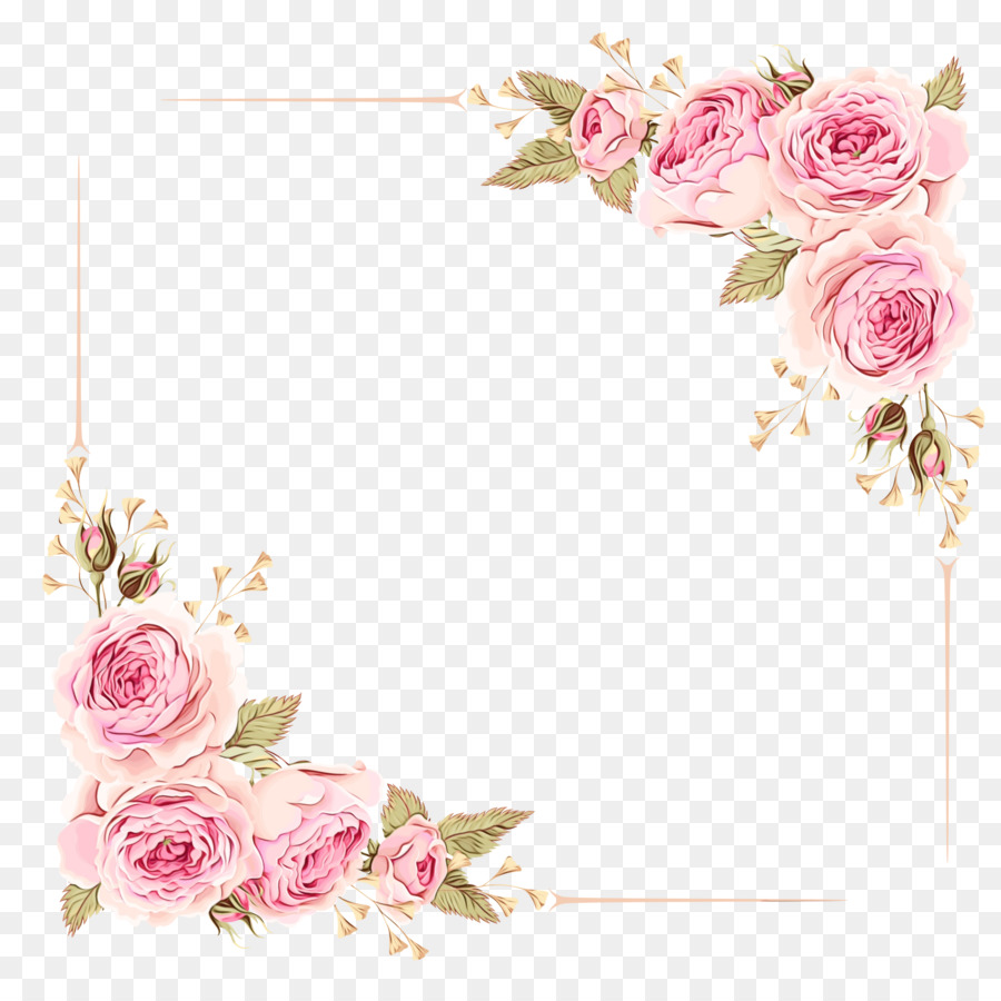 Rosa, Bordas E Molduras, Flor png transparente grátis