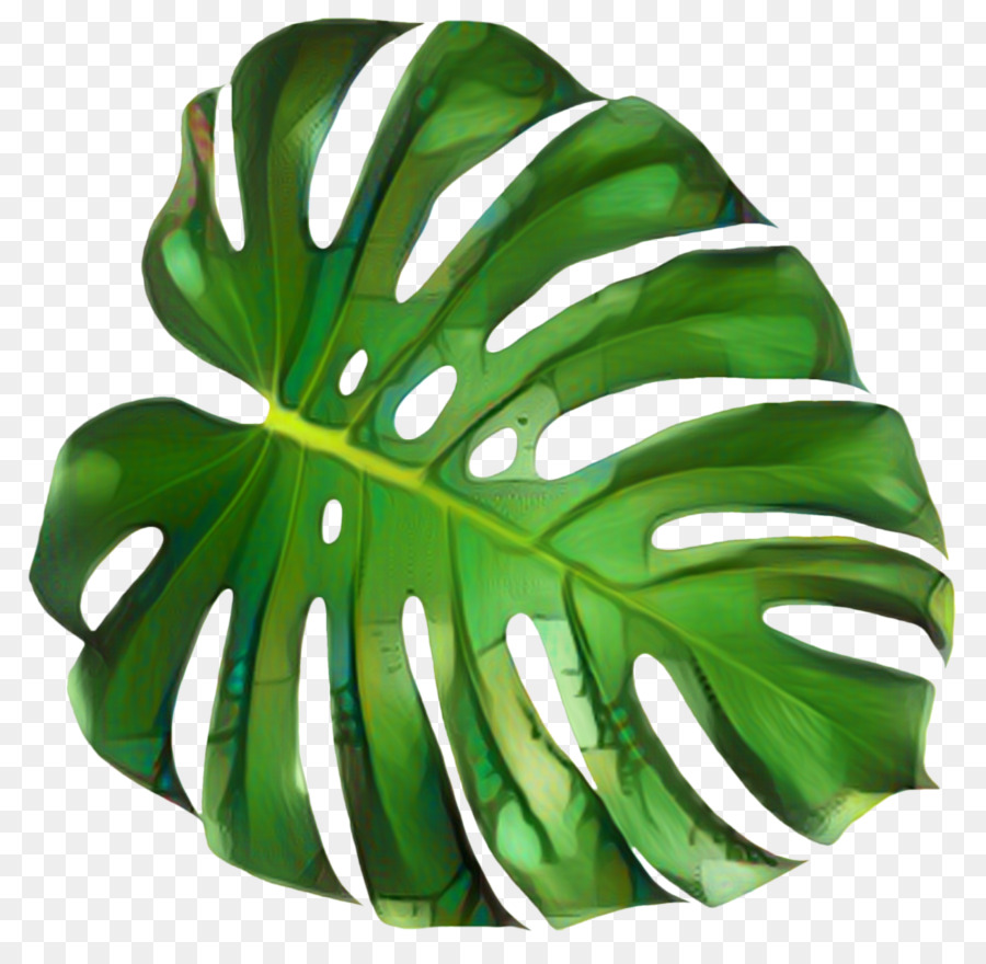 Folha Verde，Grande PNG