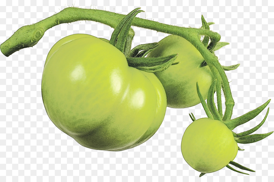 Tomate，Alimentos PNG