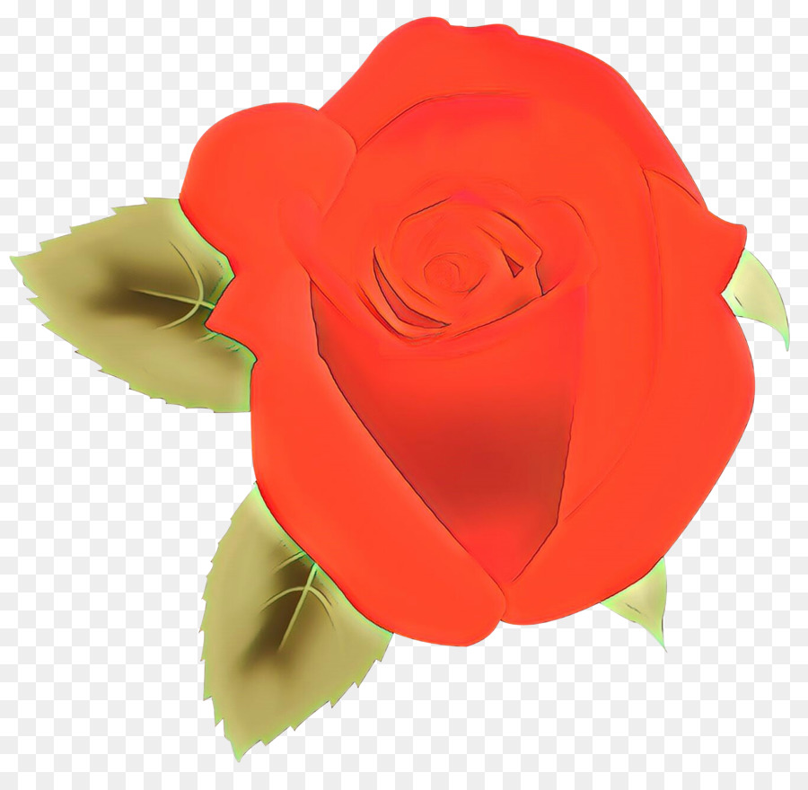 Rosas Vermelhas，Florescer PNG