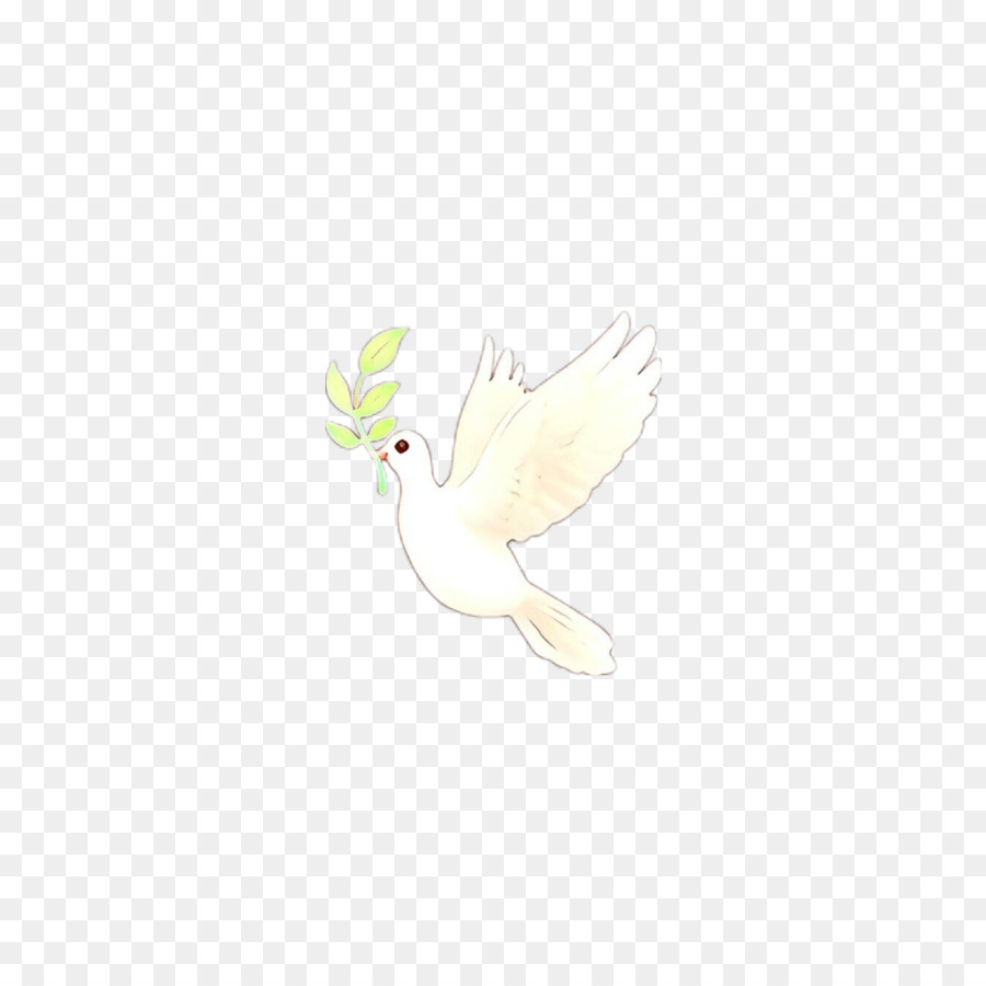 Bico，Aves PNG