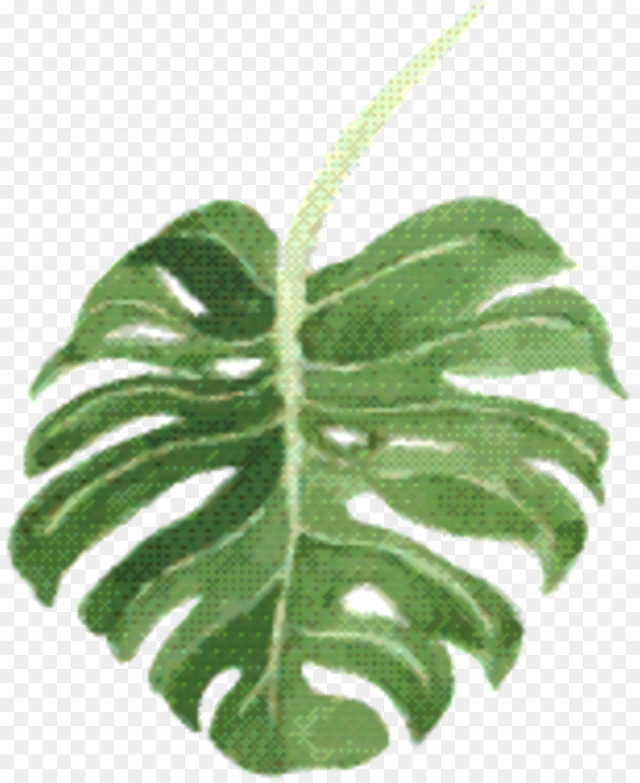 Folha，Planta De Haste PNG