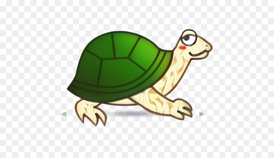 Tartaruga，Turtle PNG