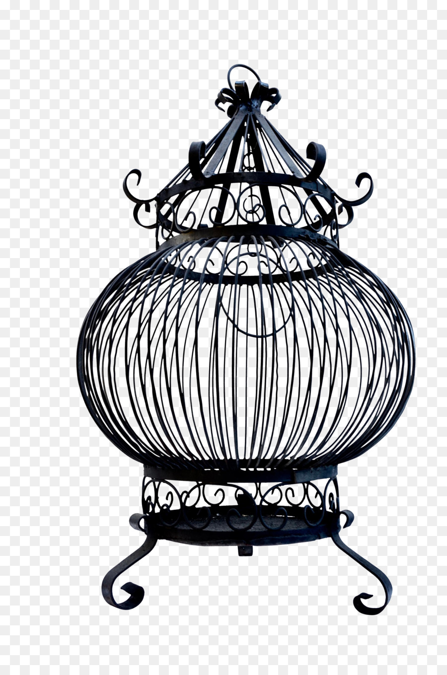 Ferro，Birdcage PNG