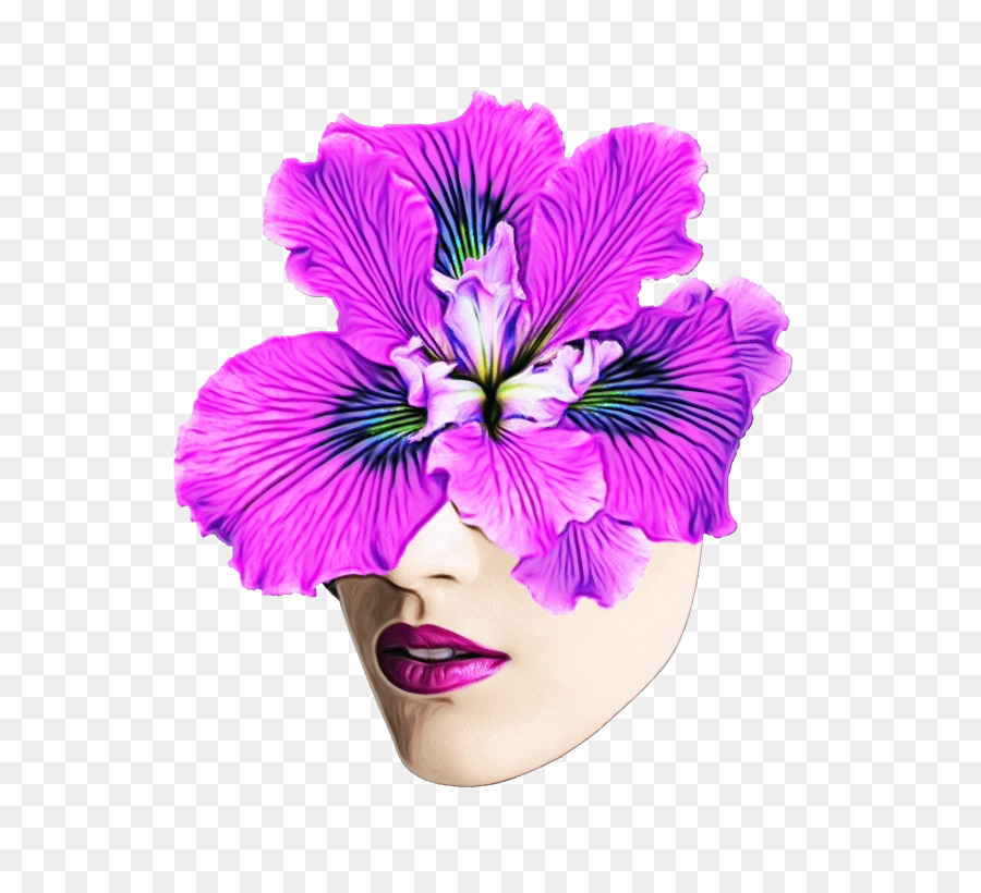 Cara De Flor，Face PNG