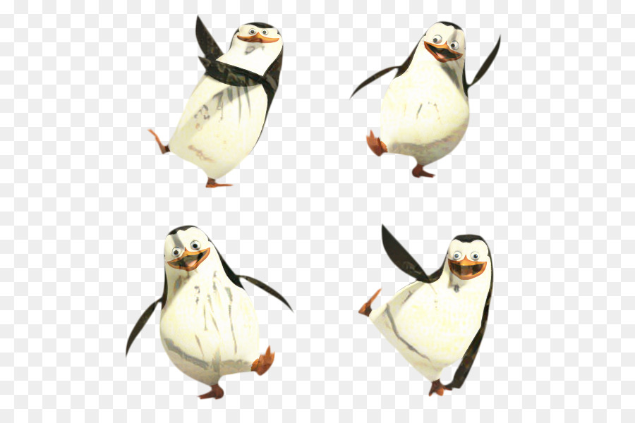 Penguin，Madagascar PNG