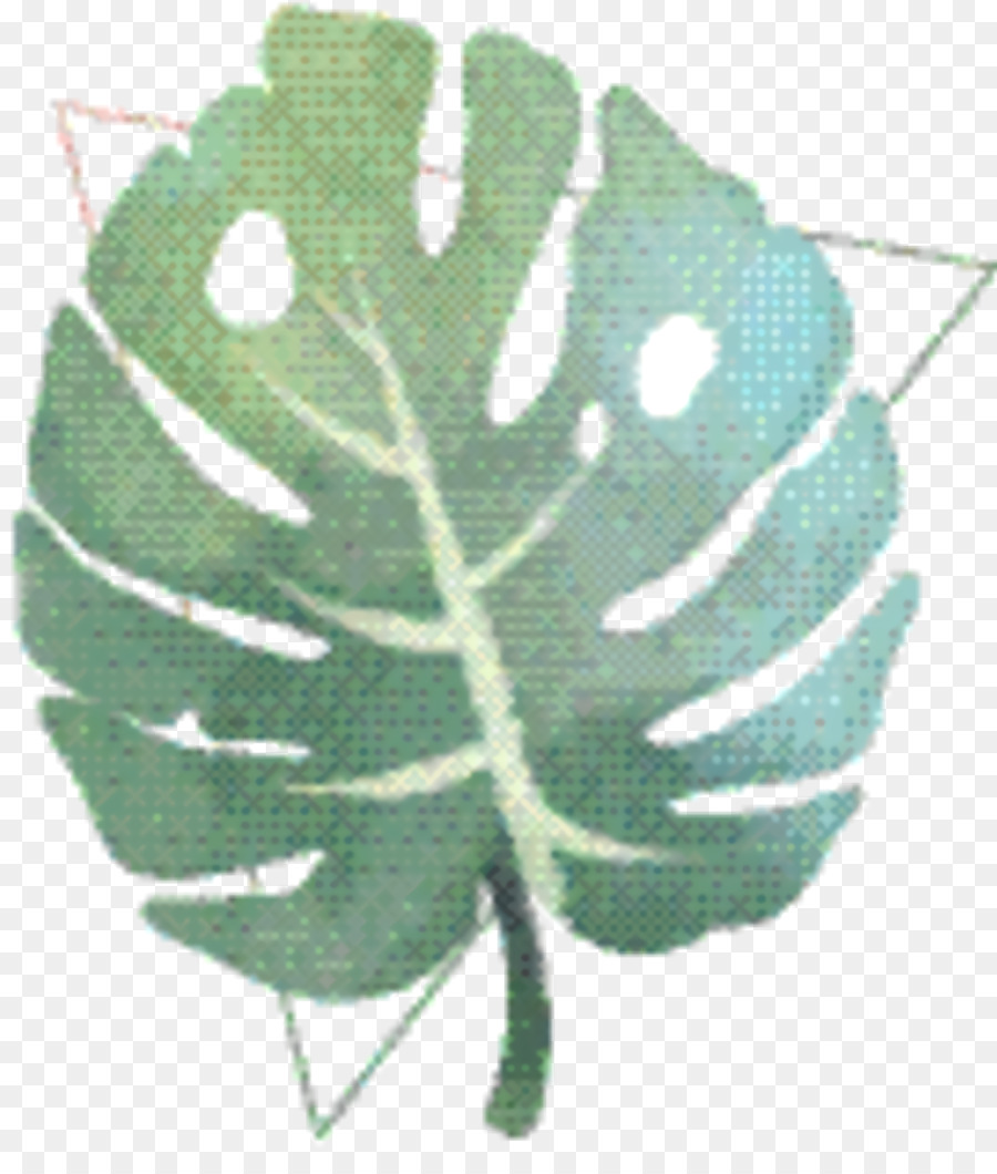 Folha，árvore PNG