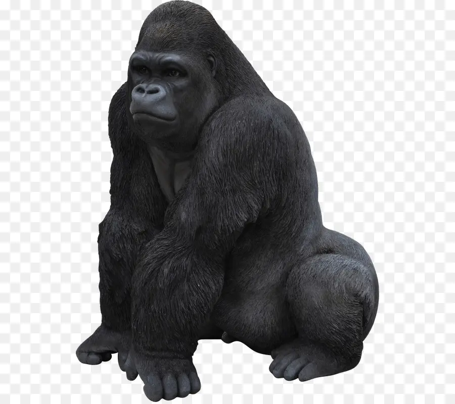 Ape，Download PNG