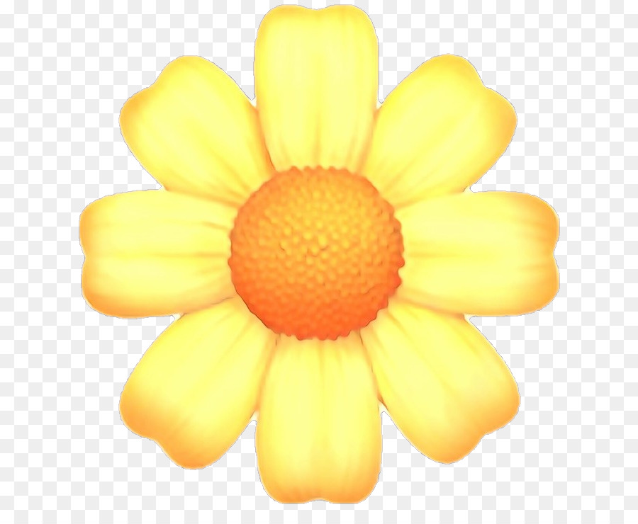 Girassol，Amarelo PNG