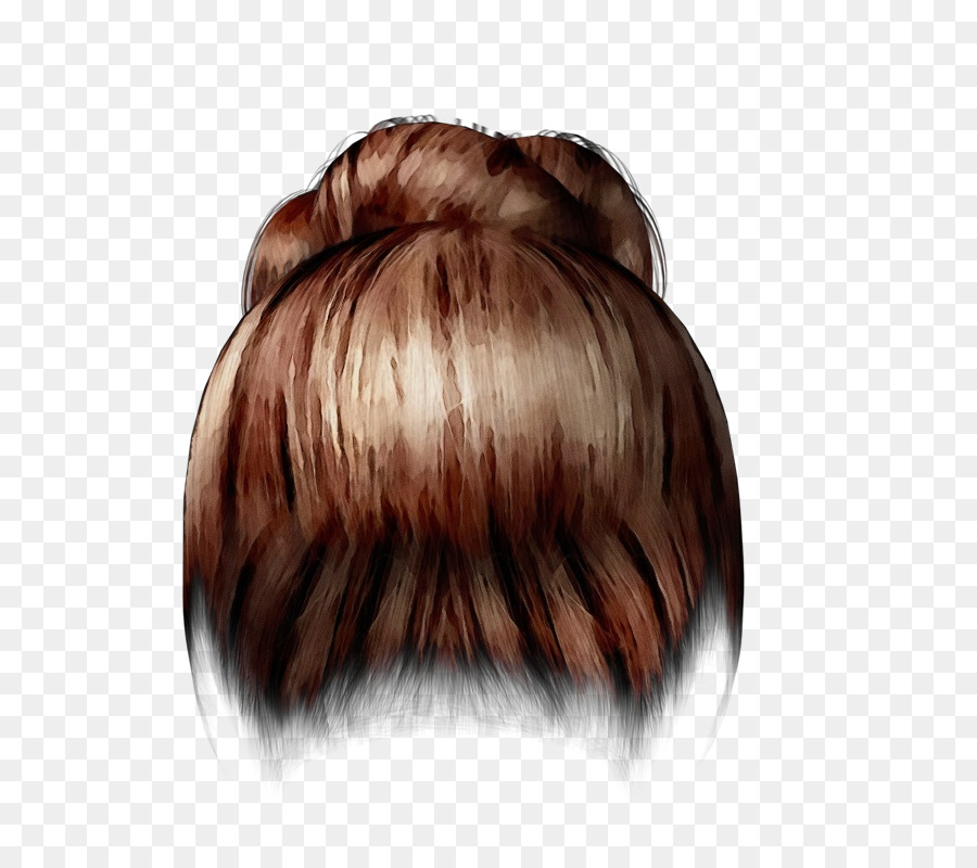 Coloração Do Cabelo，Cabelos Longos PNG