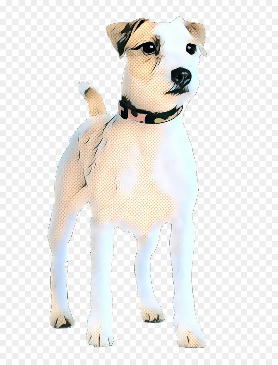 Raça Do Cão，Cachorro PNG