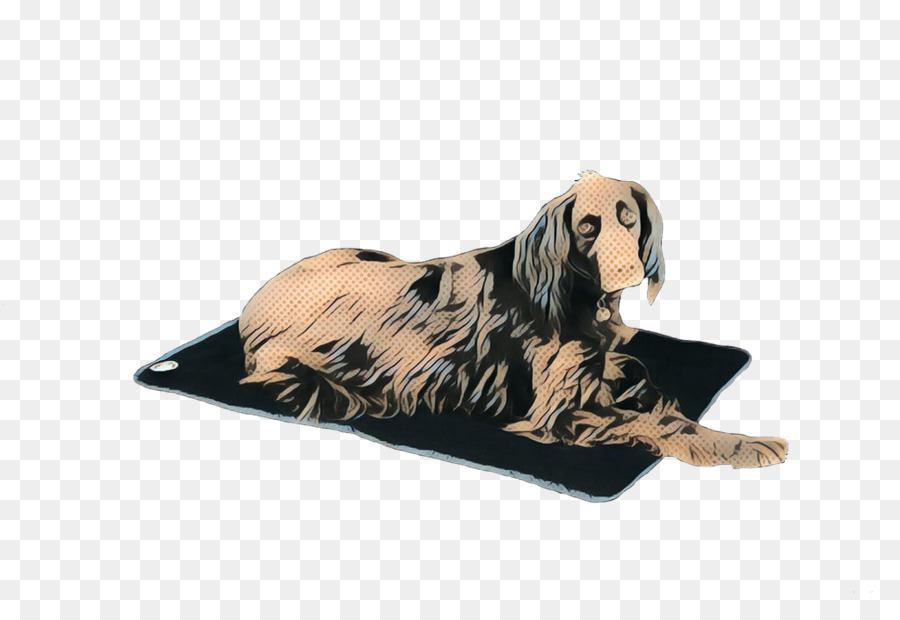 Raça Do Cão，Cachorro PNG