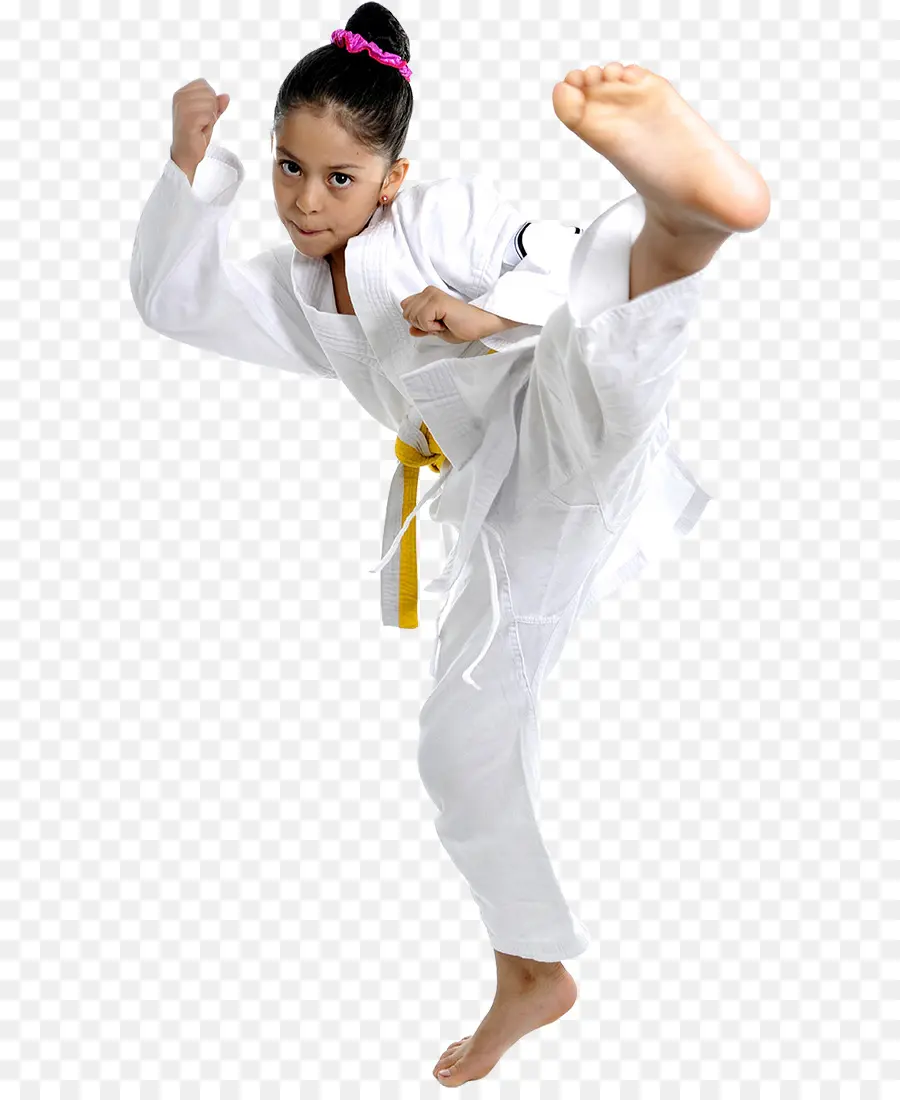 Fotografia De Stock，Karate PNG