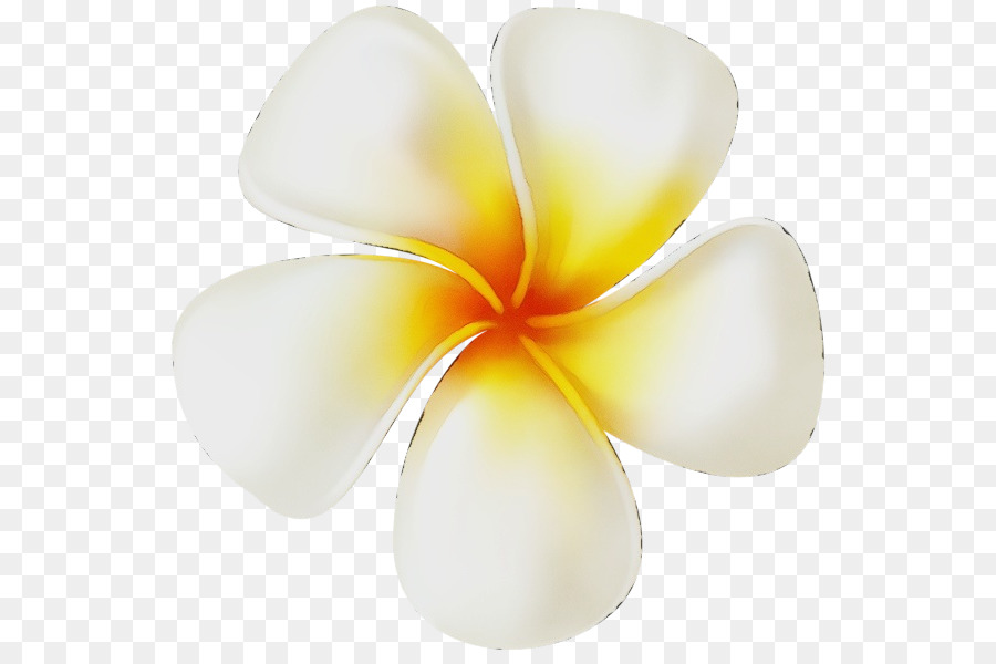 Pétala，Flores De Corte PNG